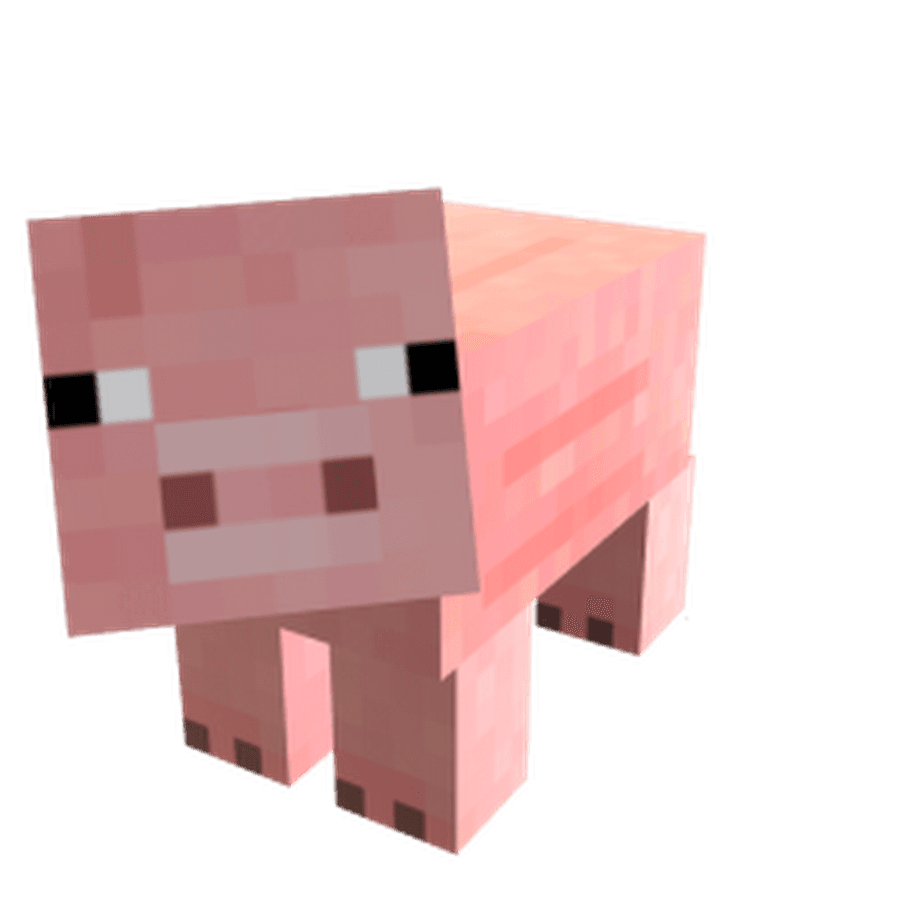 Minecraft Pig